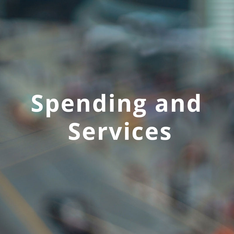 Spending and Services title image